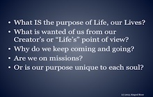 What is the purpose of life?